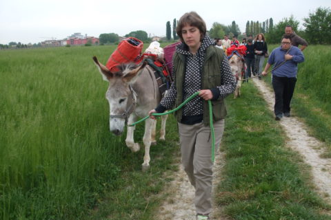 divertiamoci con gli asini (4)A